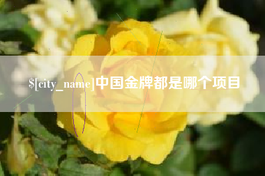 朝阳中国金牌都是哪个项目