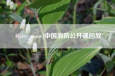 朝阳中国消防公开课回放