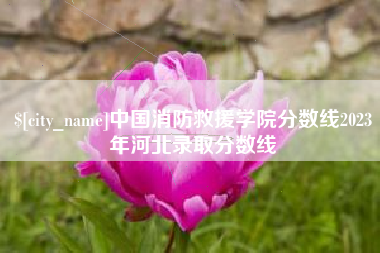 朝阳中国消防救援学院分数线2023年河北录取分数线