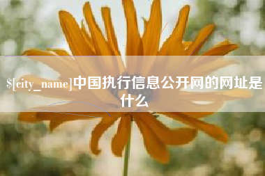 朝阳中国执行信息公开网的网址是什么
