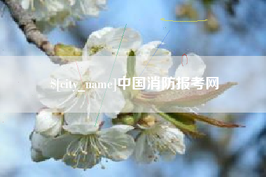 朝阳中国消防报考网