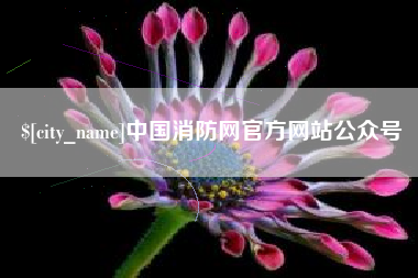 朝阳中国消防网官方网站公众号
