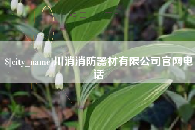 朝阳川消消防器材有限公司官网电话