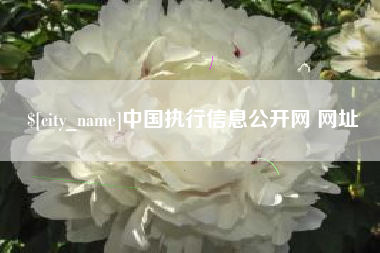 朝阳中国执行信息公开网 网址