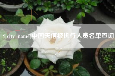 朝阳中国失信被执行人员名单查询