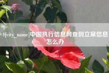 朝阳中国执行信息网查到立案信息怎么办
