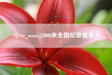 朝阳5000米全国纪录是多少