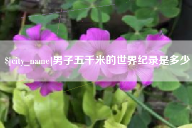 朝阳男子五千米的世界纪录是多少