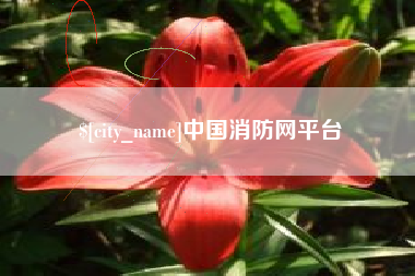 朝阳中国消防网平台