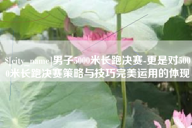朝阳男子5000米长跑决赛-更是对5000米长跑决赛策略与技巧完美运用的体现
