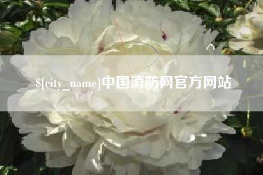 朝阳中国消防网官方网站