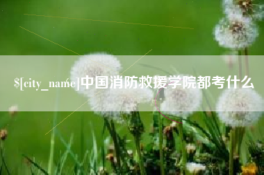 朝阳中国消防救援学院都考什么