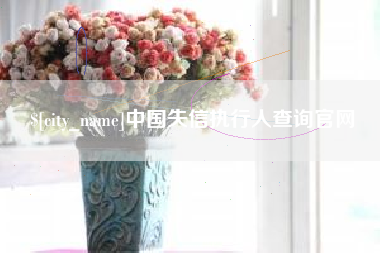 朝阳中国失信执行人查询官网