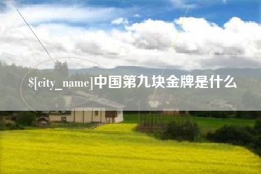朝阳中国第九块金牌是什么