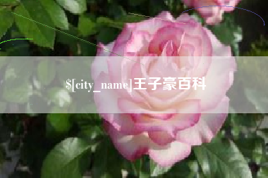 朝阳王子豪百科