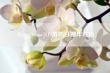 朝阳119消防日哪年开始