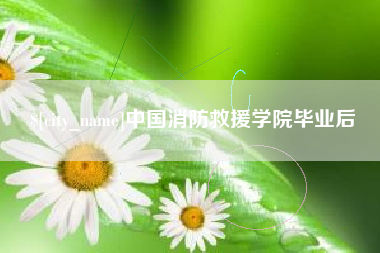 朝阳中国消防救援学院毕业后