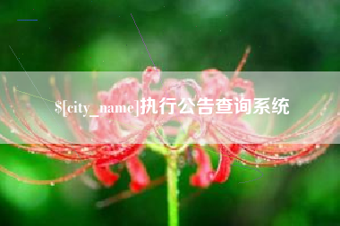 朝阳执行公告查询系统