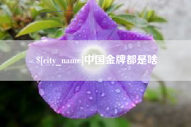 朝阳中国金牌都是啥