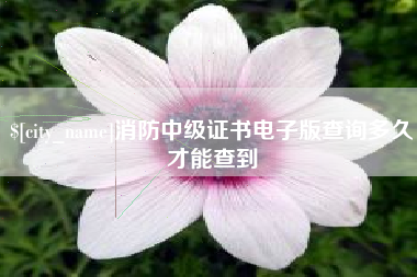 朝阳消防中级证书电子版查询多久才能查到