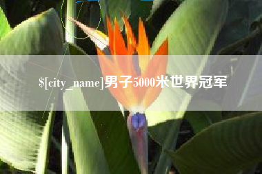 朝阳男子5000米世界冠军