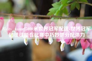 朝阳5000米世界冠军配速-世界冠军们往往能在比赛中巧妙地分配体力