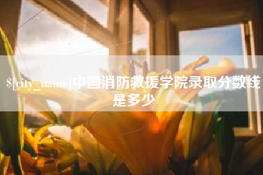 朝阳中国消防救援学院录取分数线是多少