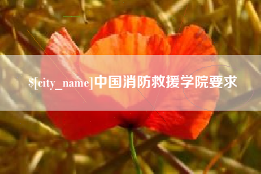 朝阳中国消防救援学院要求