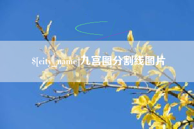 朝阳九宫图分割线图片
