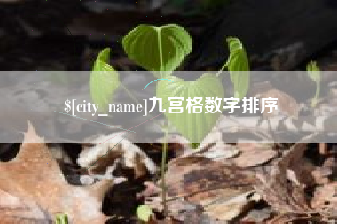 朝阳九宫格数字排序