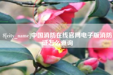 朝阳中国消防在线官网电子版消防证怎么查询