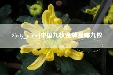 朝阳中国九枚金牌是哪九枚