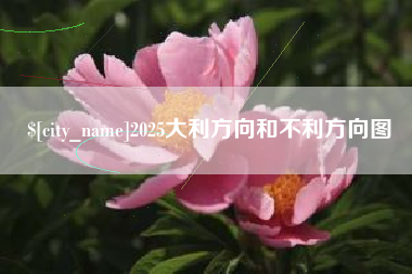 朝阳2025大利方向和不利方向图