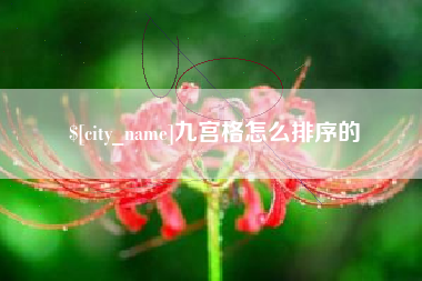 朝阳九宫格怎么排序的