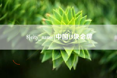 朝阳中国19块金牌