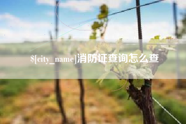 朝阳消防证查询怎么查