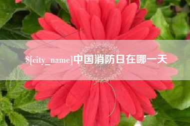 朝阳中国消防日在哪一天
