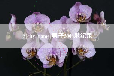朝阳男子5000米纪录