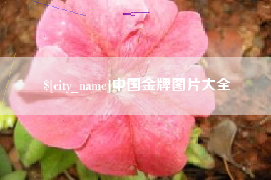 朝阳中国金牌图片大全