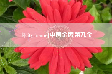 朝阳中国金牌第九金