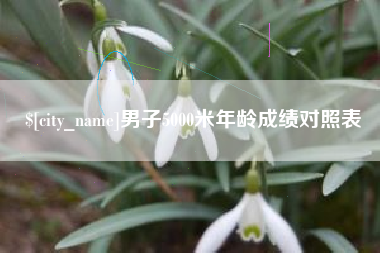 朝阳男子5000米年龄成绩对照表