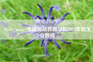 朝阳中国消防救援学院2024年招生分数线