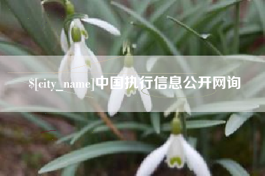 朝阳中国执行信息公开网询