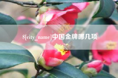 朝阳中国金牌哪几项