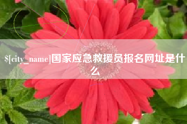 朝阳国家应急救援员报名网址是什么
