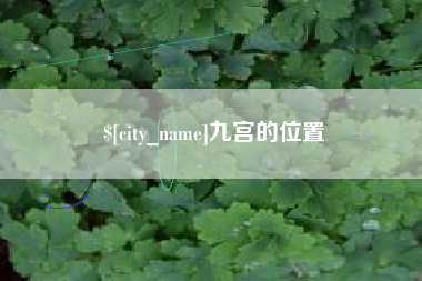 朝阳九宫的位置