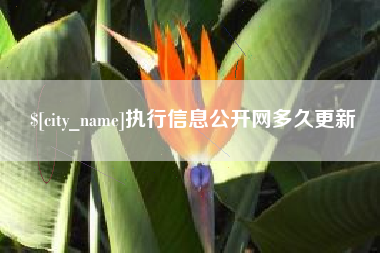 朝阳执行信息公开网多久更新