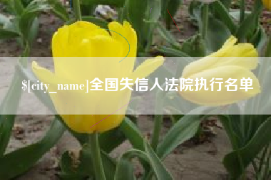 朝阳全国失信人法院执行名单