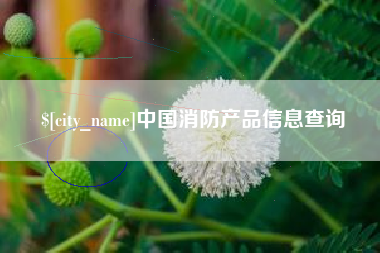 朝阳中国消防产品信息查询