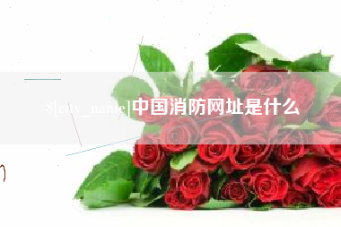朝阳中国消防网址是什么